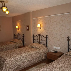 Hotel Nezih Istanbul комната для гостей фото 4