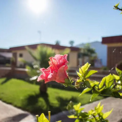 Отель Bungalows Pascual фото 4
