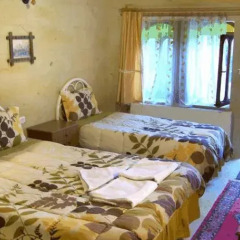 Pacha Hotel Стандартный номер фото 9