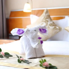 Yihe Hotel Ouzhuang 4* Стандартный номер с различными типами кроватей фото 6