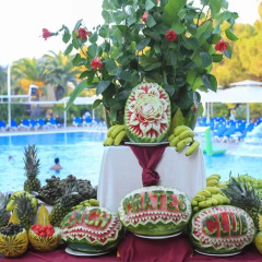 Pirates Beach Club Турция, Кемер - отзывы, цены и фото номеров - забронировать отель Pirates Beach Club онлайн помещение для мероприятий