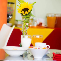Отель Guacamaya Inn B&B Сан-Педро-Сула в номере