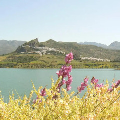 Отель Casa Rural-Apartamento El Lebrillero фото 4