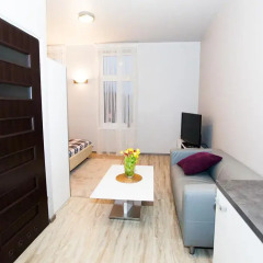 Апартаменты Studio Apartament Centrum Katowice Апартаменты с различными типами кроватей фото 5