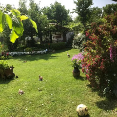 Отель House Gabri Болгария, Тырговиште - отзывы, цены и фото номеров - забронировать отель House Gabri онлайн фото 13