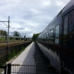 Отель Train Lodge Amsterdam Нидерланды, Амстердам - отзывы, цены и фото номеров - забронировать отель Train Lodge Amsterdam онлайн приотельная территория