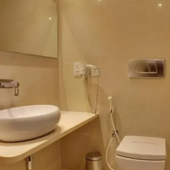 Hotel Godwin Deluxe 3* Представительский номер с различными типами кроватей фото 8