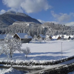 Отель Gasperin Bohinj спортивное сооружение