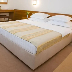 Hotel Laguna 3* Стандартный номер с различными типами кроватей фото 4