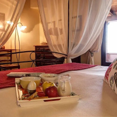 Отель Agriturismo Fattoria La Prugnola Монтескудаио в номере фото 2