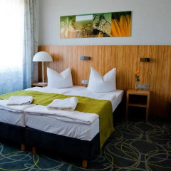Отель City-herberge Dresden 3* Стандартный номер с различными типами кроватей