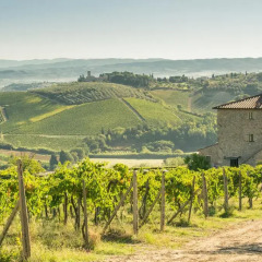 Отель Agriturismo Il Casolare di Bucciano Farmhouse Италия, Сан-Джиминьяно - отзывы, цены и фото номеров - забронировать отель Agriturismo Il Casolare di Bucciano Farmhouse онлайн фото 12