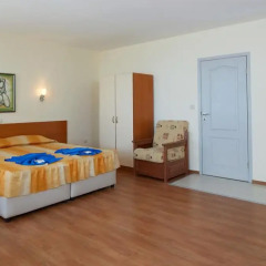 Family Hotel Milev 2* Стандартный номер с различными типами кроватей фото 2