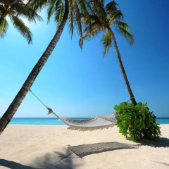 Отель Lemus Beach Punta Cana Доминикана, Пунта Кана - отзывы, цены и фото номеров - забронировать отель Lemus Beach Punta Cana онлайн пляж фото 2