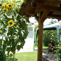 Отель Guest House Sunflowers Болгария, Поморие - отзывы, цены и фото номеров - забронировать отель Guest House Sunflowers онлайн фото 9