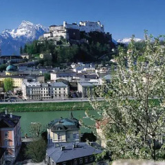 Отель EB Hotel Garni Австрия, Зальцбург - 1 отзыв об отеле, цены и фото номеров - забронировать отель EB Hotel Garni онлайн фото 8