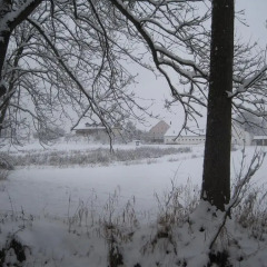 Отель Ferienhof Rieger