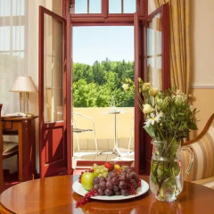 Detox Hotel Villa Ritter 4* Стандартный номер с различными типами кроватей фото 4