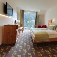 Отель Akzent Waldhotel Rheingau 4* Номер Комфорт с различными типами кроватей фото 2