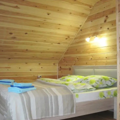 Mini-hotel u Babolovskogo Parka Номер Делюкс с различными типами кроватей фото 2