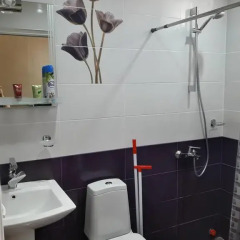 Отель Guets House Brothers Грузия, Тбилиси - отзывы, цены и фото номеров - забронировать отель Guets House Brothers онлайн ванная