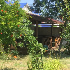 Гостиница Alpic Guest House фото 2