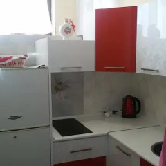 Апартаменты Opera Theatre Apartment в номере