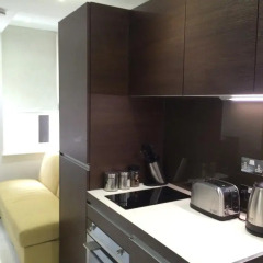 Отель Albany House Luxury Serviced Apartments Великобритания, Лондон - отзывы, цены и фото номеров - забронировать отель Albany House Luxury Serviced Apartments онлайн в номере фото 2