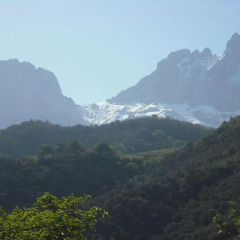 Отель Posada Peñas Arriba Камалено фото 5