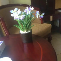 Ya Hala Hotel Suites 3* Стандартный номер фото 4