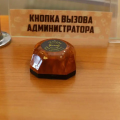 Гостиница Родина с домашними животными