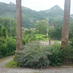 Отель B&B El Jardin de Aes фото 5