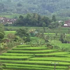 Отель Ti Amo Bali Resort