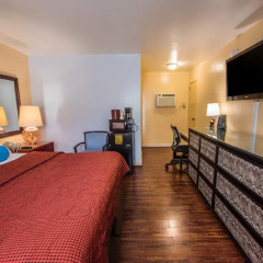 Отель Hollywood Downtowner 3* Номер Делюкс фото 4
