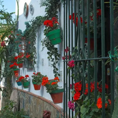 Отель Hostal Micaela спортивное сооружение