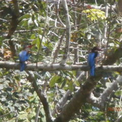 Отель Fiji Palms Phuket Таиланд, Пхукет - отзывы, цены и фото номеров - забронировать отель Fiji Palms Phuket онлайн фитнесс-зал
