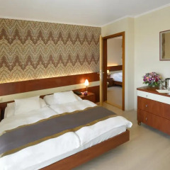 Holiday Beach Budapest Wellness & Conference Hotel комната для гостей фото 4