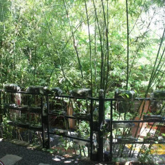 Отель Mui Ne Garden Стандартный номер с различными типами кроватей фото 26