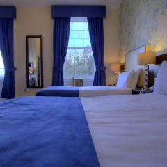 The Lucan Spa Hotel 3* Стандартный номер с разными типами кроватей фото 9