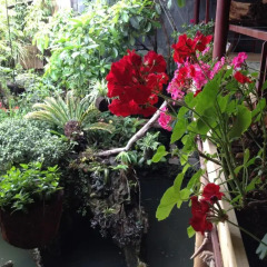 Отель Ta Phin Stone Garden Ecological Шапа фото 2