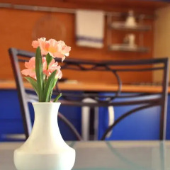 Отель FESTIVAL Hotel Apartments Чехия, Карловы Вары - отзывы, цены и фото номеров - забронировать отель FESTIVAL Hotel Apartments онлайн питание