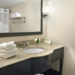 Отель Holiday Inn Miami Beach-Oceanfront 3* Стандартный номер с различными типами кроватей фото 8