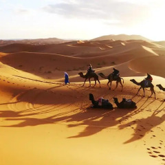Отель Bivouac Karim Sahara Марокко, Загора - отзывы, цены и фото номеров - забронировать отель Bivouac Karim Sahara онлайн пляж фото 2