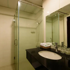 Hong Vy 1 Hotel 3* Номер Делюкс с различными типами кроватей фото 2