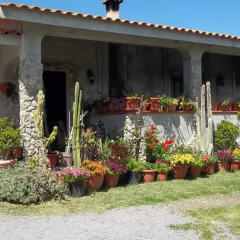 Отель Il Vecchioliveto di Ornella Ористано фото 12