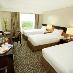 Hotel Elizabeth Cebu 3* Номер Делюкс с различными типами кроватей фото 4
