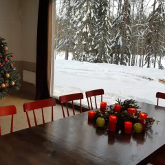 Гостиница Brusnika Village развлечения