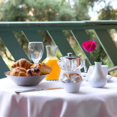 Отель Golden Tulip Farah Marrakech Марокко, Марракеш - 2 отзыва об отеле, цены и фото номеров - забронировать отель Golden Tulip Farah Marrakech онлайн балкон
