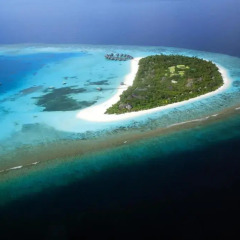 Отель Coco Palm Dhuni Kolhu 4* Вилла с различными типами кроватей фото 3