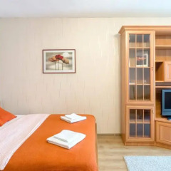 Апартаменты Miracle Apartments Арбатская Улучшенные апартаменты с разными типами кроватей фото 23